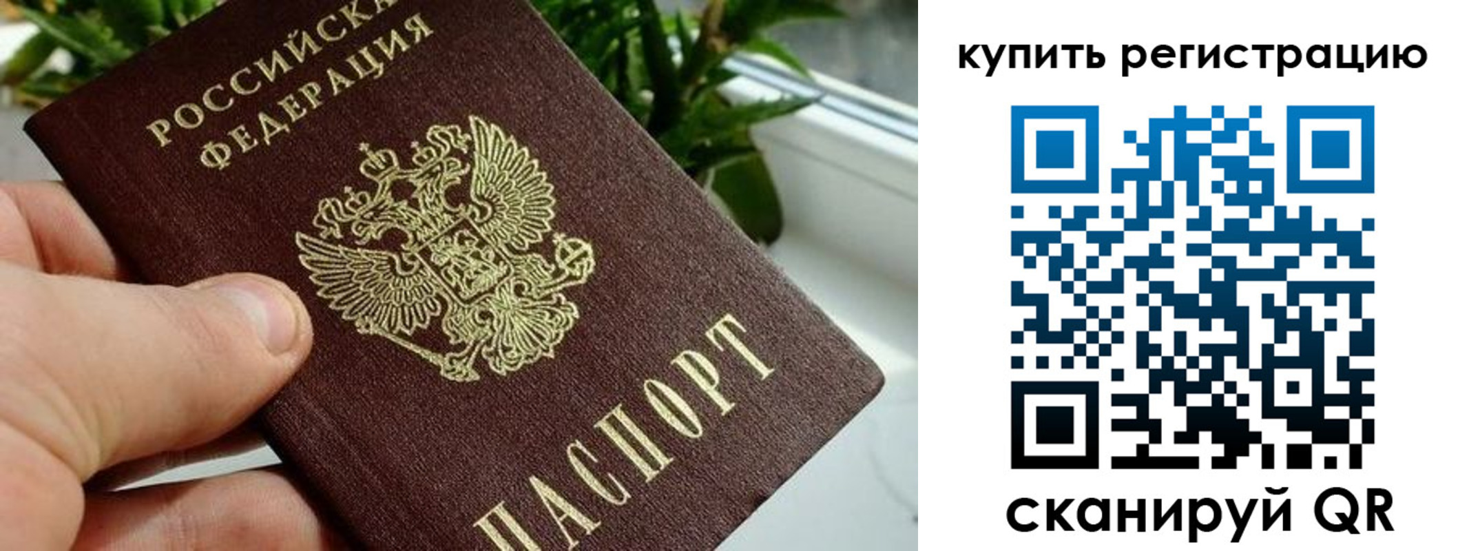 прописка гарантия в Хилке